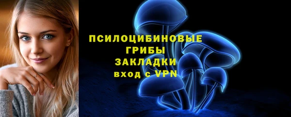 меф Новодвинск