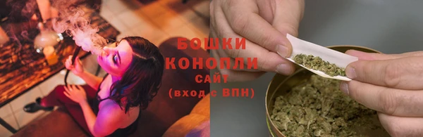 2c-b Новозыбков