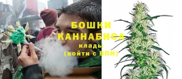 2c-b Новозыбков