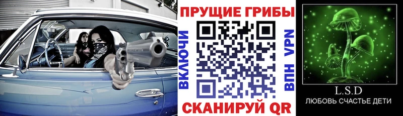 Купить закладки Невинномысск Псилоцибиновые грибы ЛСД