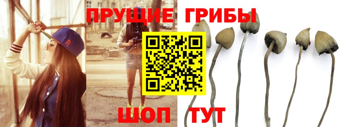 Псилоцибиновые грибы мухоморы  Вход с VPN  Невинномысск 